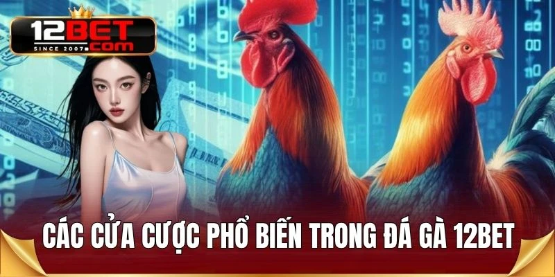 Các cửa cược phổ biến trong đá gà 12BET