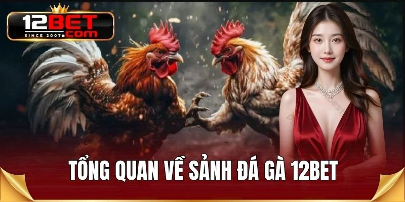 Tổng quan về sảnh đá gà 12BET